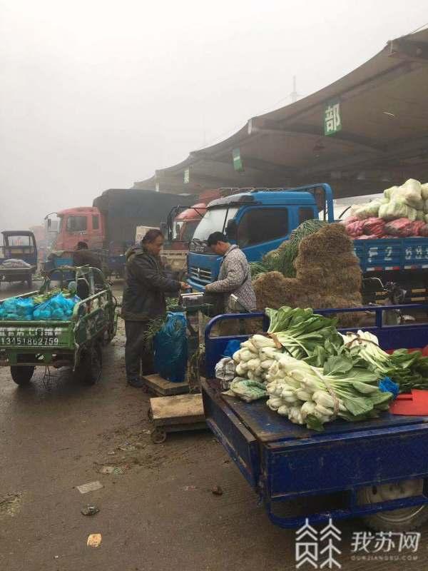 各地最新菜价概览，市场走势与影响因素深度解析