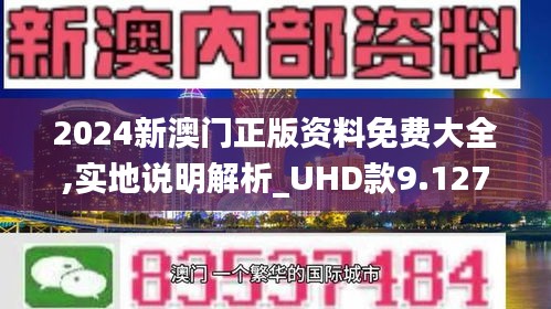 2024年新澳门王中王免费,实地数据验证实施_纪念版33.408