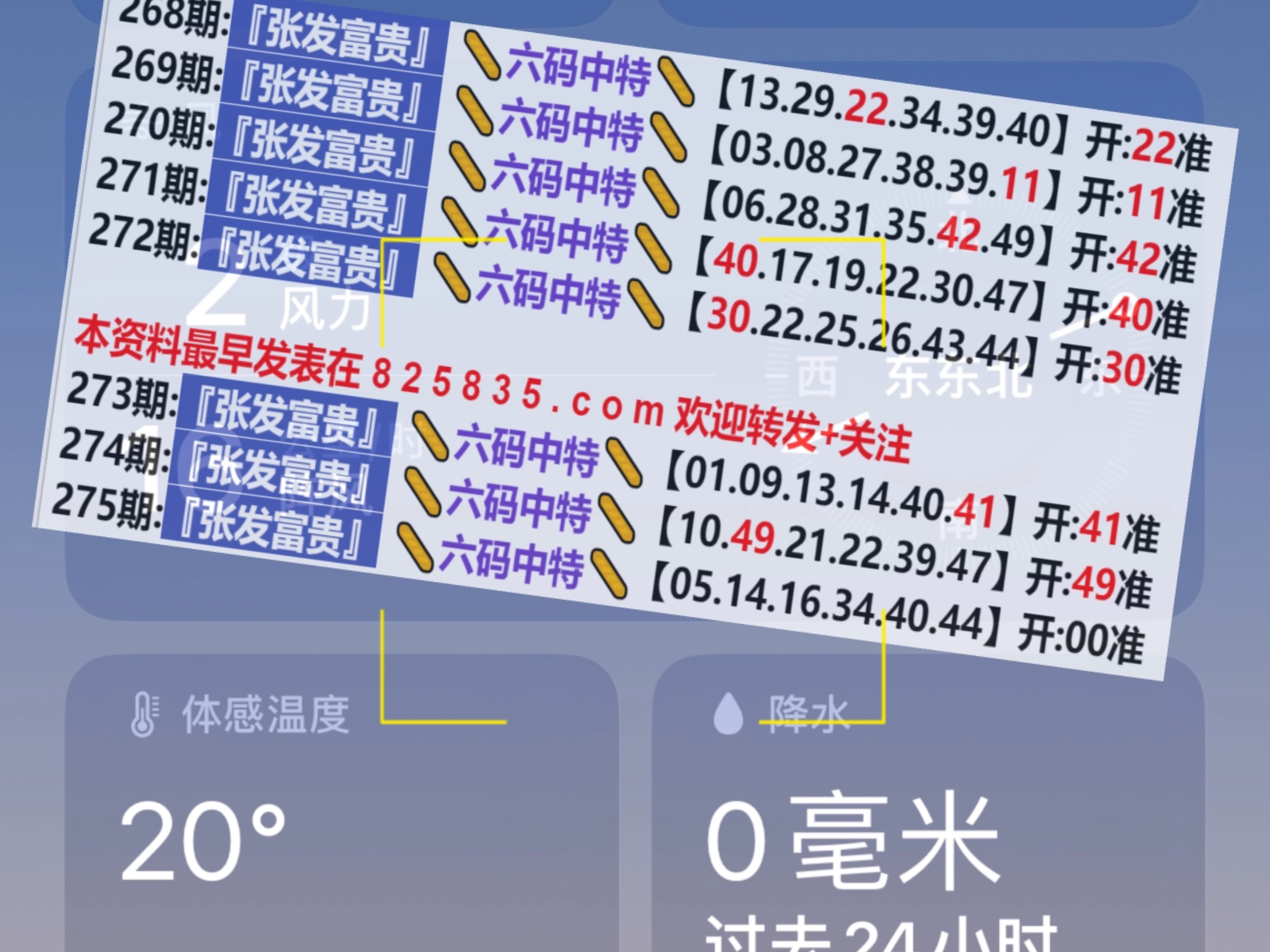 2024新奥门天天开好彩大全85期,深度解答解释定义_顶级款77.98.71